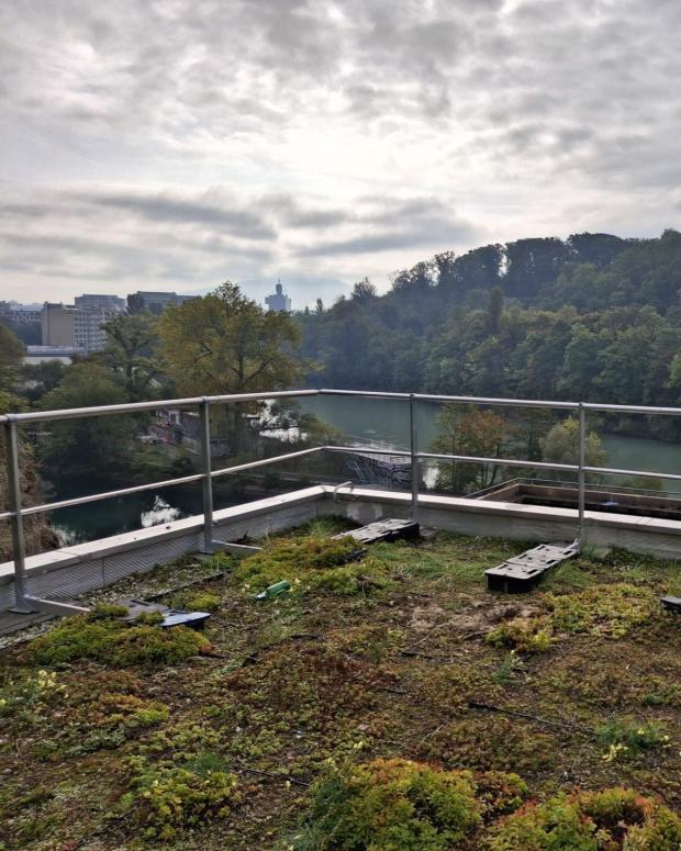 Post LinkedIn (12).jpg